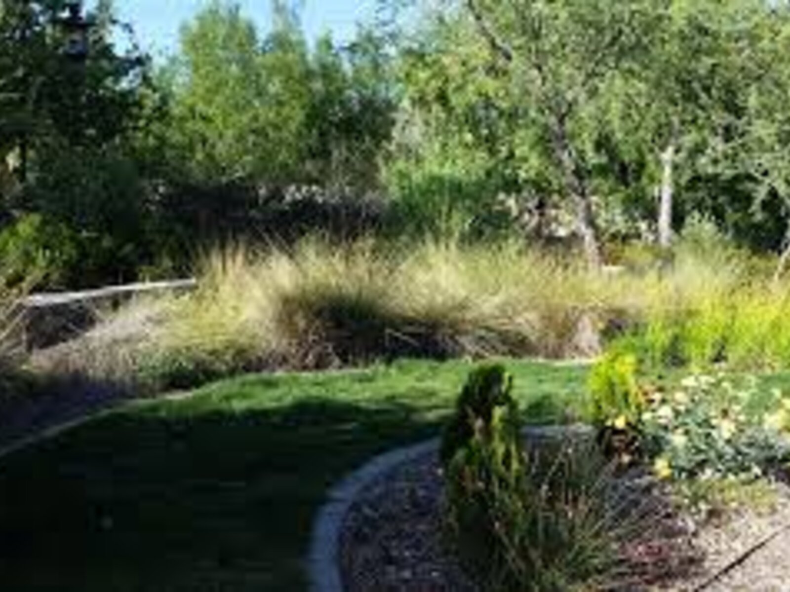 Special Guest Keystone Heritage Park La Nube Where Imagination