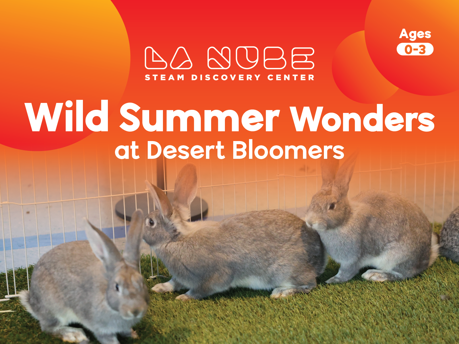 Desert Bloomers
